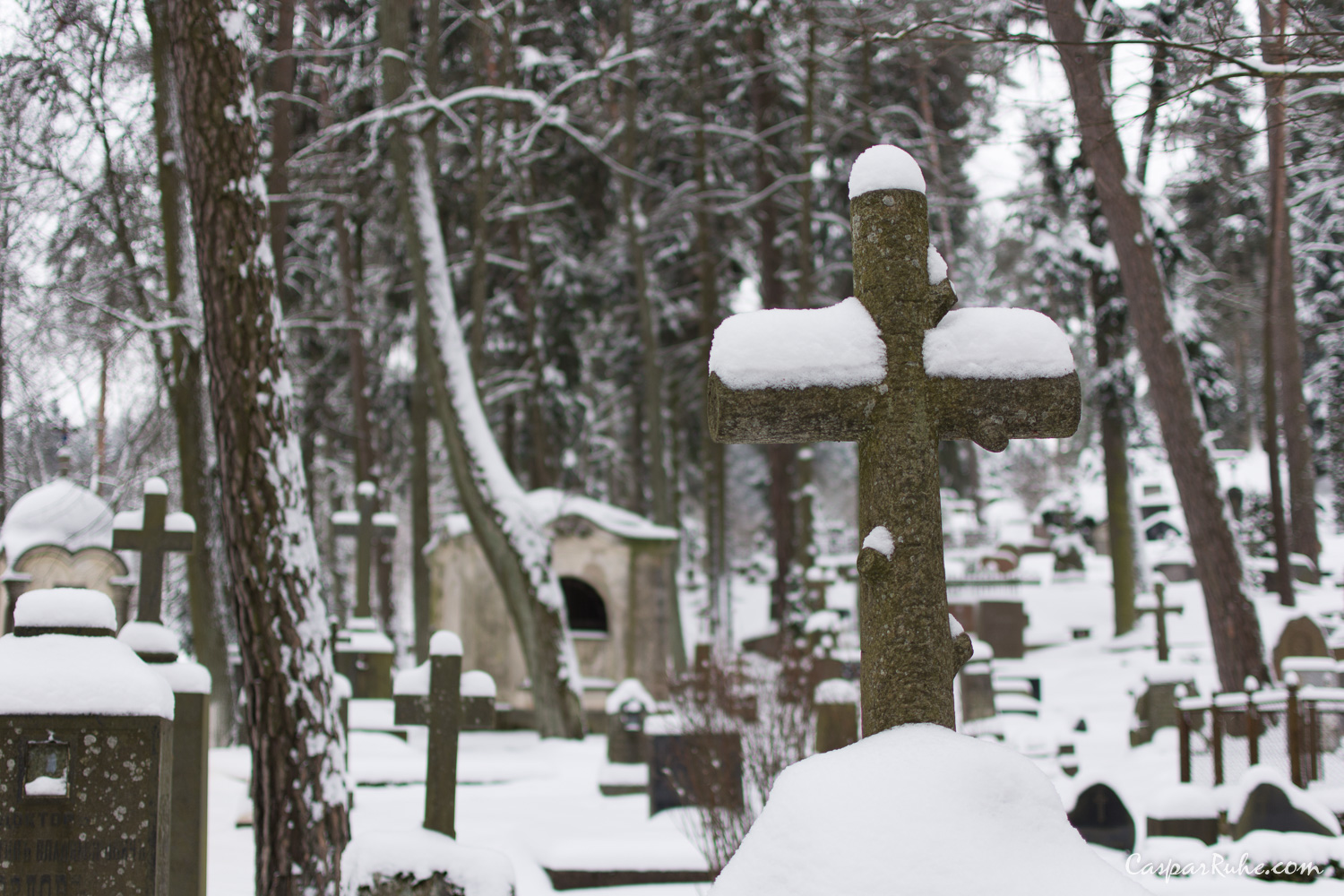 Antakalnis Cemetery